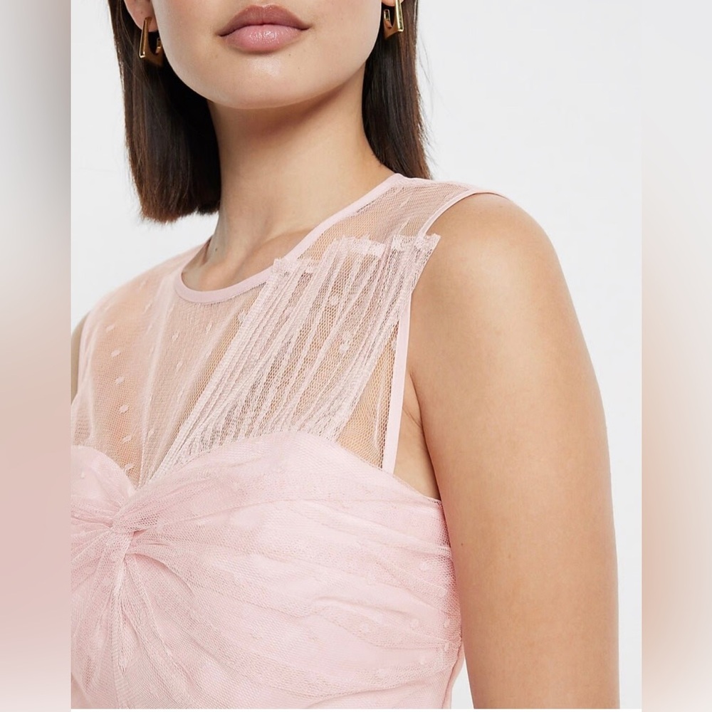 Express Pink Sheer Ruffle Top - Picture 3 of 7
